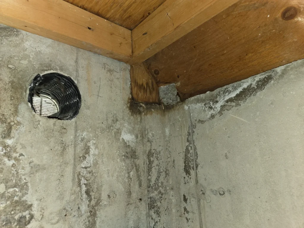 Moisture staining visible at basement foundation and wood framing