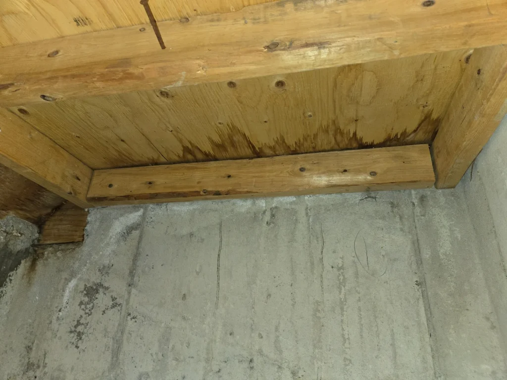 Traces d’humidité observées près de la fondation du sous-sol et de la charpente