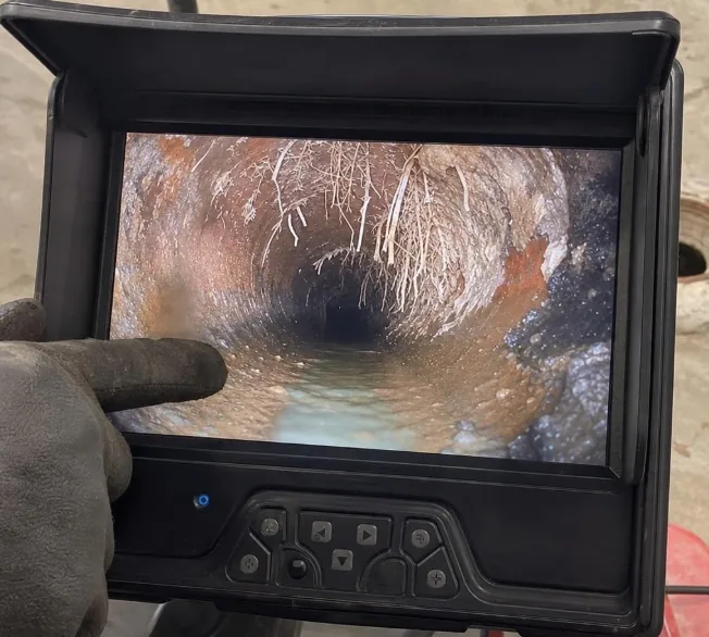 Sewer camera inspection showing root intrusion inside a residential drain line